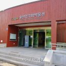 울산암각화박물관 이미지