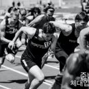 체대입시FA 이미지