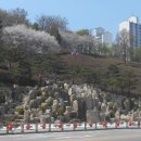 동산조경개발 이미지