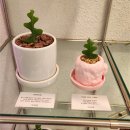 오백샵 이미지