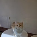 해피주 수원점 이미지