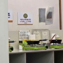 대가야 카 써비스 이미지