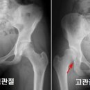 야탑서울동물병원 이미지