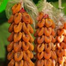 산삼주제관 | 2026 지리산함양 고종시 곶감축제 현장 분위기 및 시식 후기