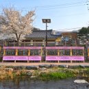 플리마켓 중형 대여, 구미소상공인 희망페스티벌 2025 청춘, 금오천 벚꽃 페스티벌 행사장 정보