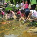 자연동화유치원 이미지