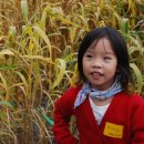 가루매마을 이미지