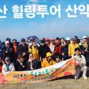 서천 마량포구 ㅡ동백꽃 쭈꾸미축제 ㅡ 이미지