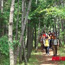 국립공원관리공단 한려해상국립공원동부사무소 이미지