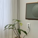 루하리움 : 울산 무거동 테라리움, 비즈화분 원데이클래스