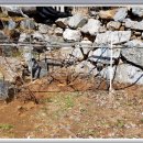 포도나무 민박 이미지