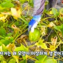 주환농장 이미지