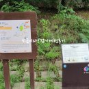 초림2길 이미지