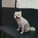 미호닷컴
