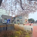 벚나무공원 화장실 이미지