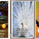 솔토장어 이미지