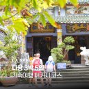 힐펜트하우스스파민박 | 베트남 다낭 가족여행 패키지 3박 5일 일정 자유여행