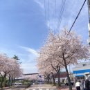에프터글로우Afterglow 이미지