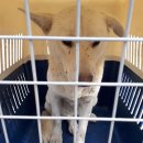 처용산업로 이미지