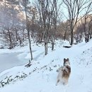 명환목장 2 이미지