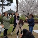 제비어린이집 이미지
