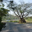 저산2리 이미지