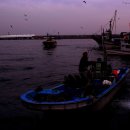 주문진항 이미지