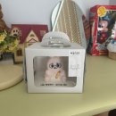 세잎클로버 | [월간재현] 8월(下) : 행복을 가져다 줄 이 수많은 세잎클로버 ☘︎