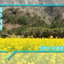 황금돈사랑