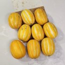 성주농장 | 맛있는과일 대민농장 성주참외