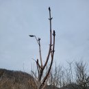 근원농장 이미지