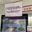 망원시장 진성만두 후기｜줄 서서 먹는 피 얇은 만두, 재료 소진 주의