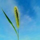 해달요가명상후평센터 | [춘천] 해달요가명상 요가원 다니는 글