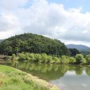 환벽당길 이미지