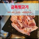 대구 서구 고깃집 금복뒷고기 포차 느낌 애견동반식당