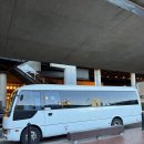 블루관광여행사㈜ | 블루마운틴투어 추천 내돈내산 솔직리뷰 | 대한관광여행사 히든스팟 (페더데일동물원 오픈런·시닉월드...