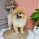 릴리줄리살롱 이미지