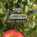 도라산농장 이미지