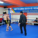 국제킥복싱 이미지