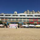 일산초등학교 이미지