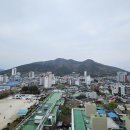 삼보신우 이미지