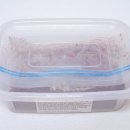 아루실업 이미지