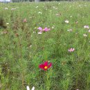 이문안호수공원 이미지