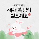 도담네일 - 경주시 | 도담네일