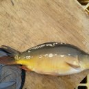 샘터낚시터 이미지