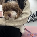 독앤트리 이미지