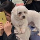 우영3급