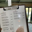 초리골도토리새싹요리 네이버블로그