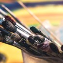 대구도색 이미지