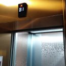 경기도 수원시 영통구 광교호수공원로 이미지